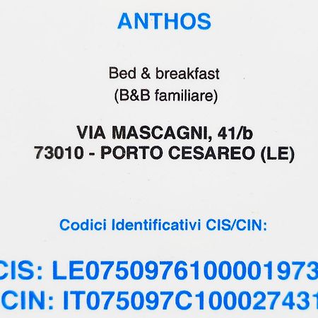 Bed Anthos Porto Cesareo Bed & Breakfast Dış mekan fotoğraf